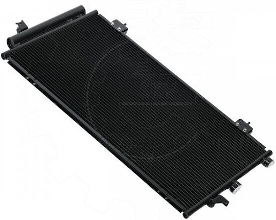 Condensator Climatizare Toyota RAV 4 II Dezumidificator 8846042070