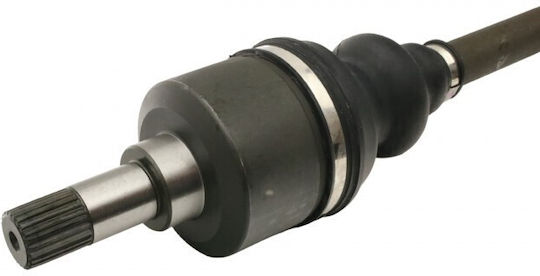 Halimaxónio Citroen Jumpy 16 Links Links Blauhdi 1675953280