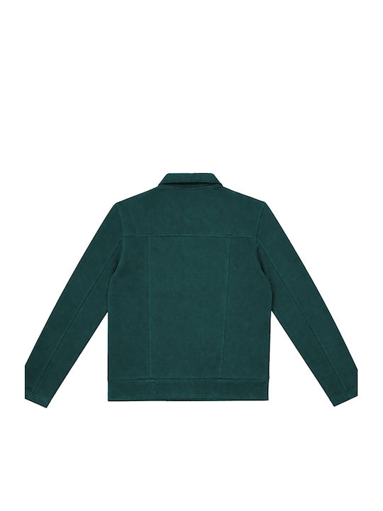 Short Women's Jacket for Spring/Autumn Gray