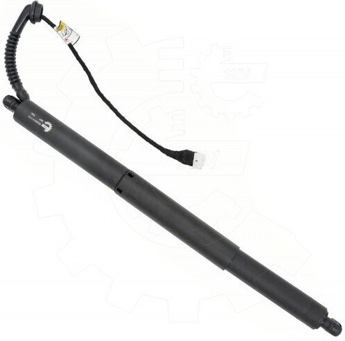 Bmw X5 Right Rear Trunk Shock 51247434042