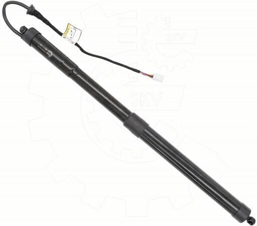 Amortizoare Ușa Spate Toyota RAV 4 V Stânga 6892042020