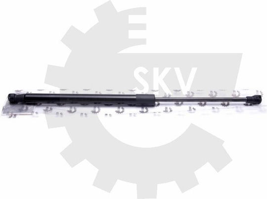 Αμορτισέρ Πίσω Πόρτας Renault Scenic I 7700354322