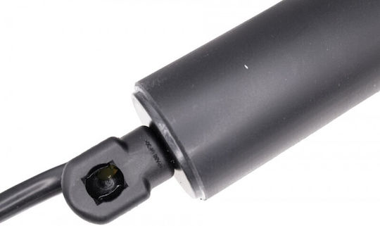 Nissan Qashqai Rear Door Trunk Shock Left 905616ua0c