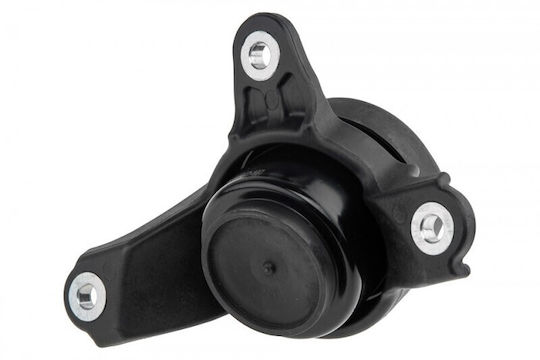 Motorhalterung Honda Accord 08-12 Acura Tsx 09 Automatik Hydraulisch