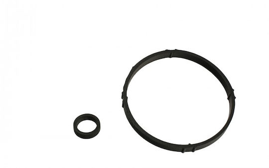 Car Gasket Citroen Berlingo 96 Oil Cooler Gasket 1103.j7