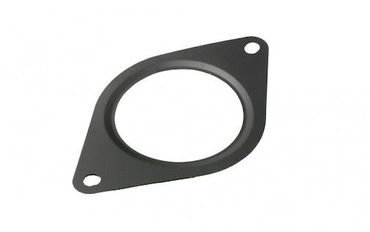 Fast Buds Exhaust Manifold Gasket for Fiat Ducato 14 2.3 Jtd 53140107