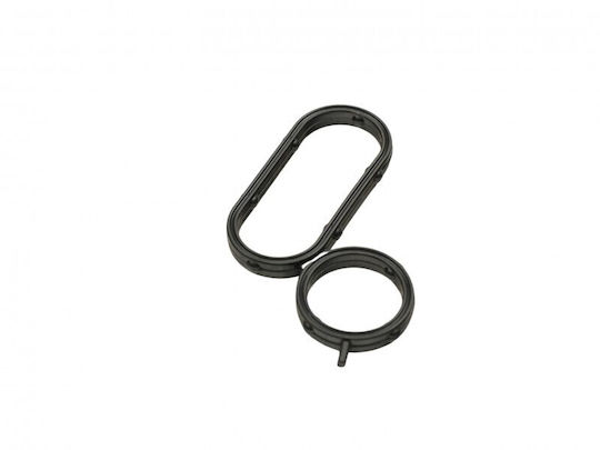 Garnitură Ford Tranzit 06 Răcitor De Ulei 98 088 972 80