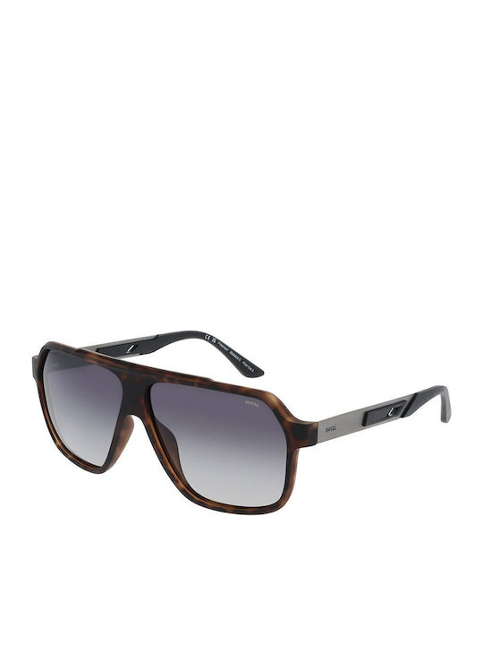 Invu Men's Sunglasses with Brown Horn-Rimmed Frame and Brown Polarized Mirror Lens IB22620C