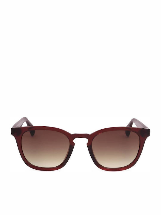 Ted Baker Feminini Ochelari de soare cu Burgundy Cadru și Burgundy Degrade Lentilă