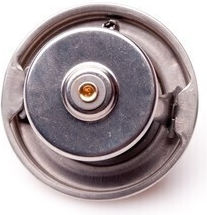 SKV Auto Thermostat Daewoo Daimler Jaguar Mercedes 0022037675 22037675