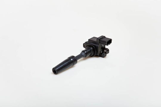 SKV Zündspule Für Nissan Maxima 1994 Oe 2244831u05 2244831u05
