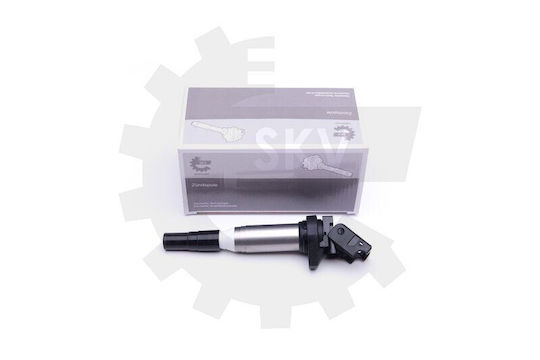 SKV Auto-Zündspulen Alpina B6 Gran Coupe B7 BMW 5 6 7 X5 X6 12138611236