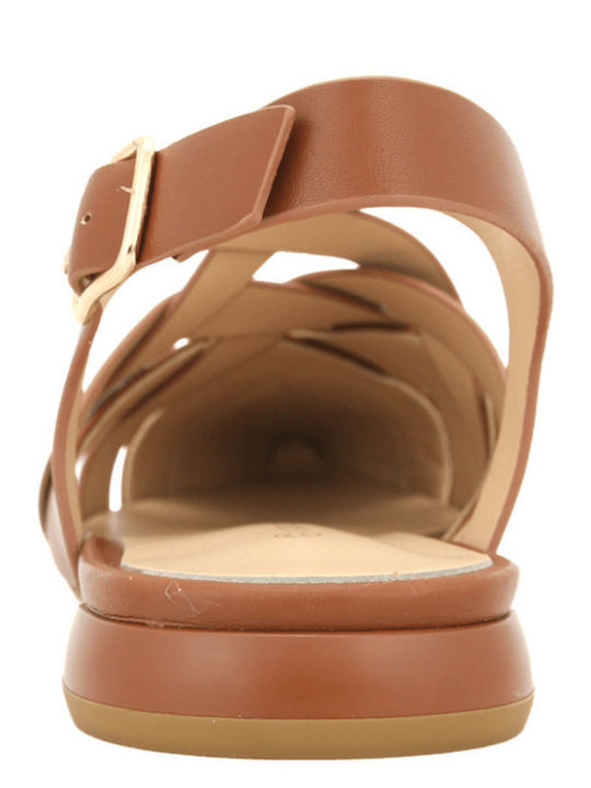 Leather Women's Ballerina Shoes in Tabac Brown Colour