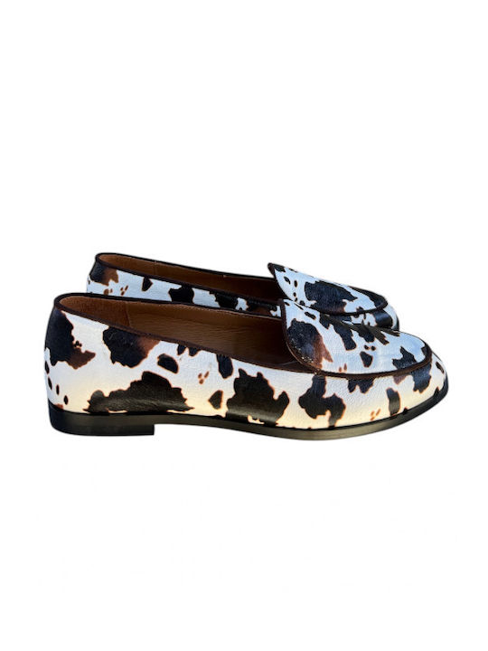 Sider Collection