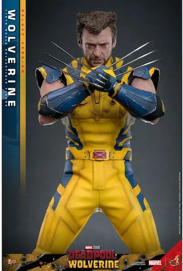 Hot Toys Marvel Deadpool Hot Toys Masterpiece Wolverine Action Figure Height 31cm in Scale 1:6
