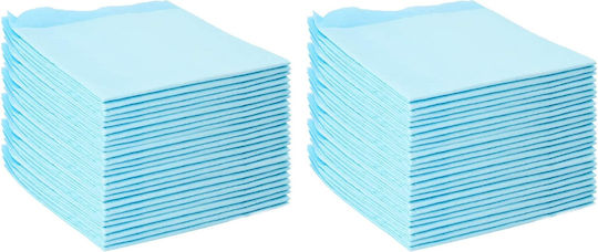 Pet Training Mat 50 Pcs Blue White 45 X 33 Cm