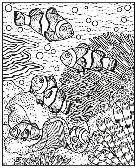 Colouring Book Coral Reef Magic Painting Book