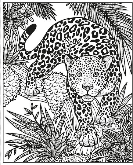 Anti-Stress Colouring Book Wild Animals Magic Painting Book