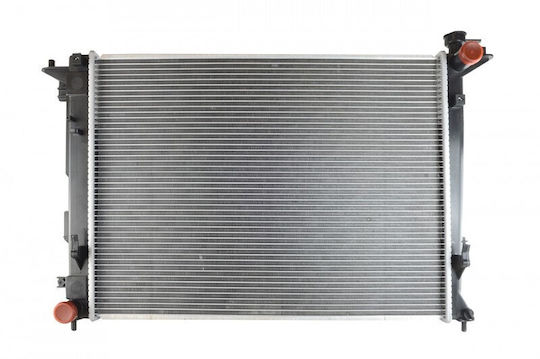 Ψυγείο Hyundai Ix35 09 253102y500