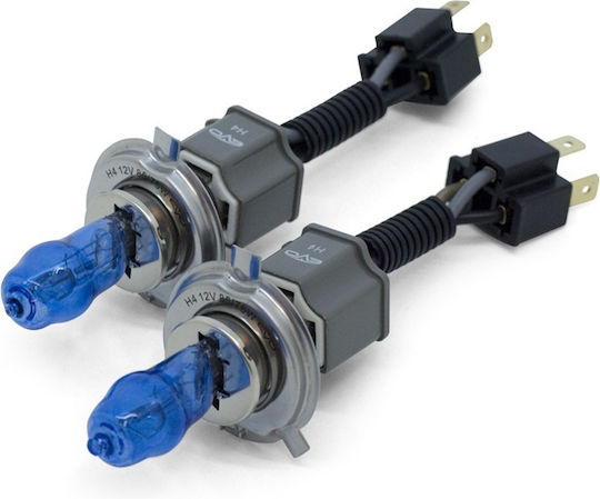 Lămpi Auto H4 Halogen 5000K Alb Rece 12V 55W 2 Bucăți
