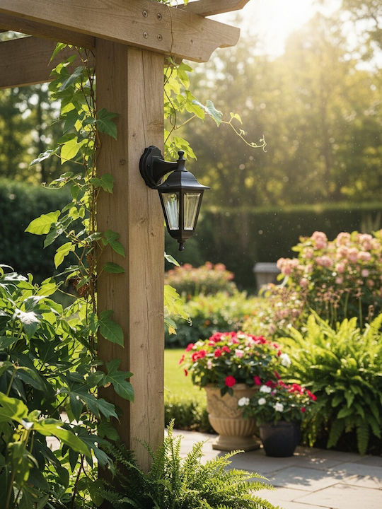 Adeleq Black Lantern Adeleq Black Lantern