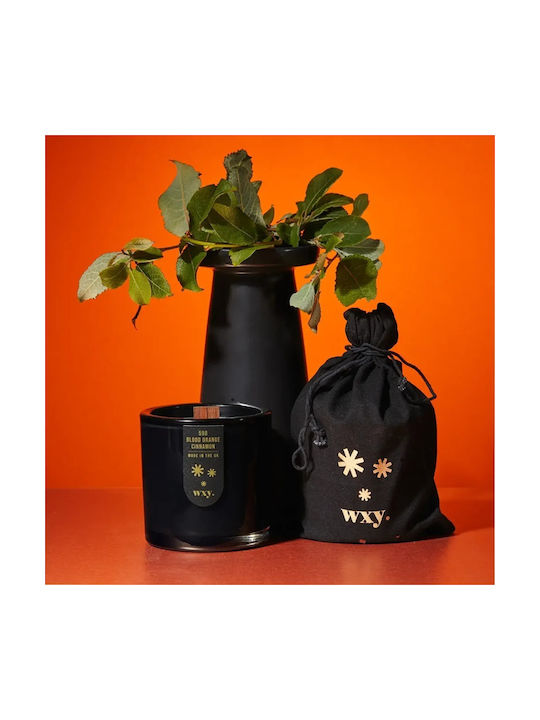 Blood Orange & Cinnamon Herbal Candle 350gr Big Amber Wxy