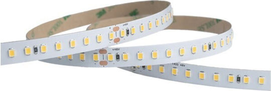 Eurolamp Ταινία LED 48V Φυσικό Λευκό Φως 30m Τύπου SMD2835