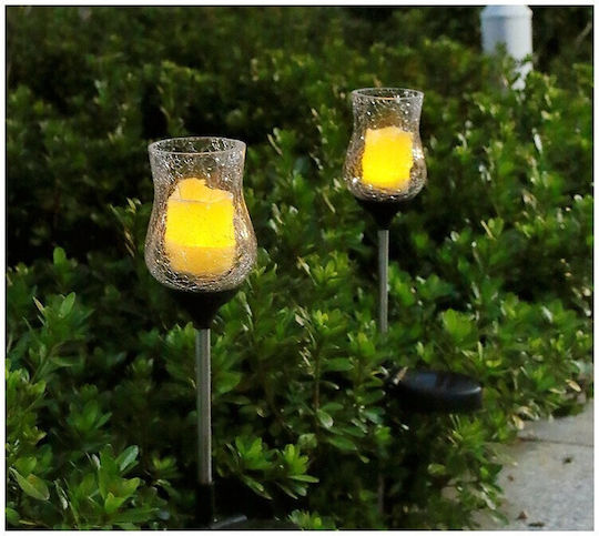 Solar Light Cold White 6500K with Motion Sensor and Photocell IP65