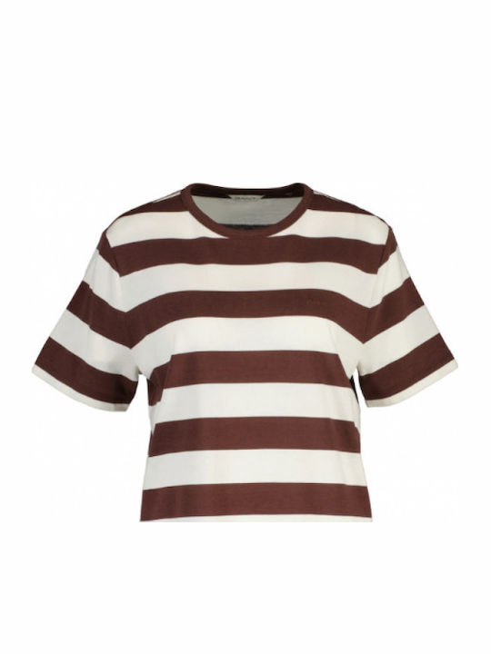 Women's Striped Brown T-shirt
