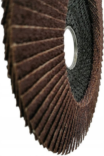 Flex Stahl Schleifscheibe Flap Disc T29 125-22 Körnung 60 Tls1252260