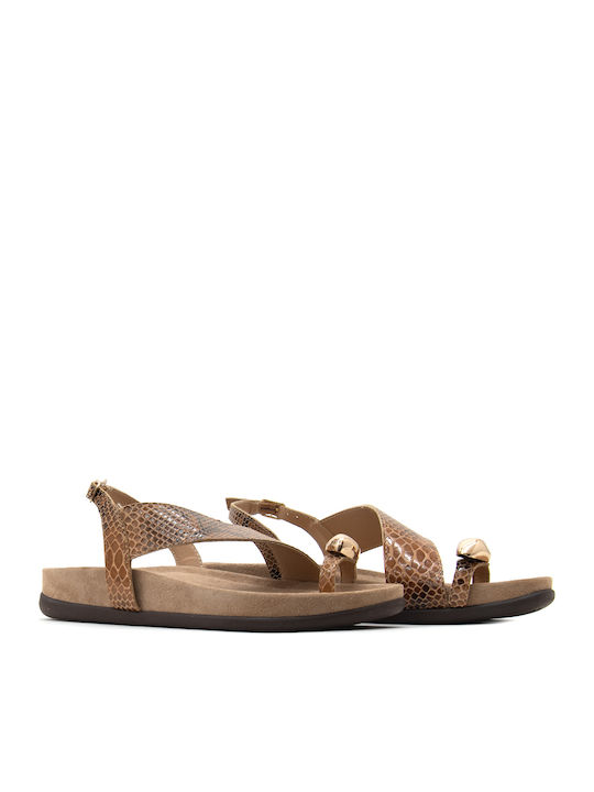 Leather Women's Anatomic Brown Sandals