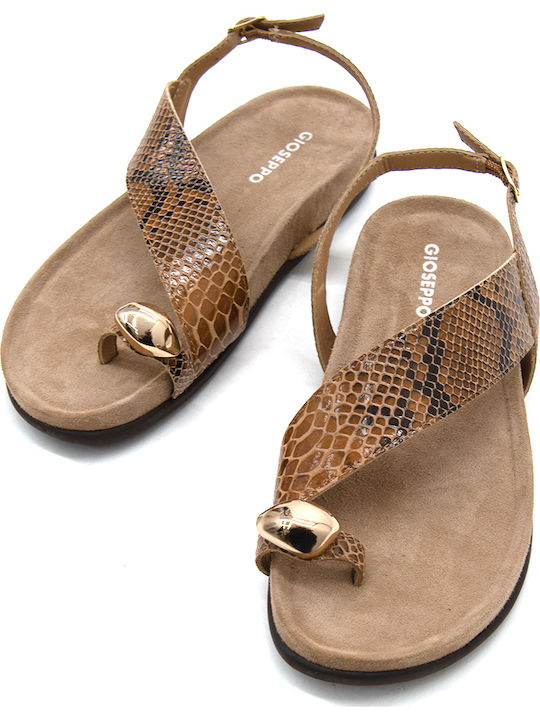 Leather Women's Anatomic Brown Sandals