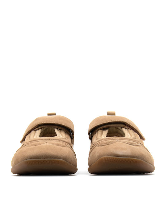 Ash 01 Combo A Women's Brown Sneakers