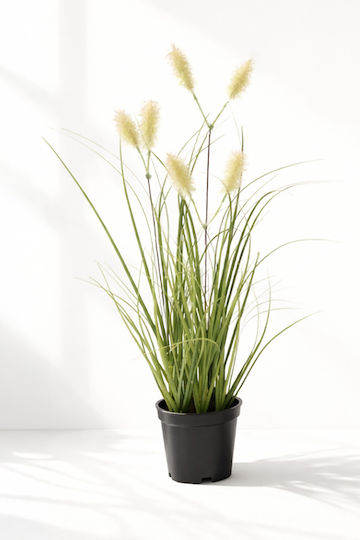 Grass Set Potted Plant 15x15x30cm Green Kaeming Grass Set Potted Plant 15x15x30cm Green Kaeming