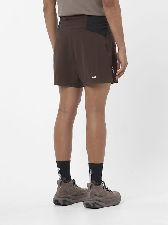 Salomon Salomon