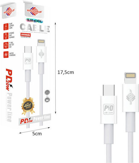 WisdomUp USB-C to Lightning Cable