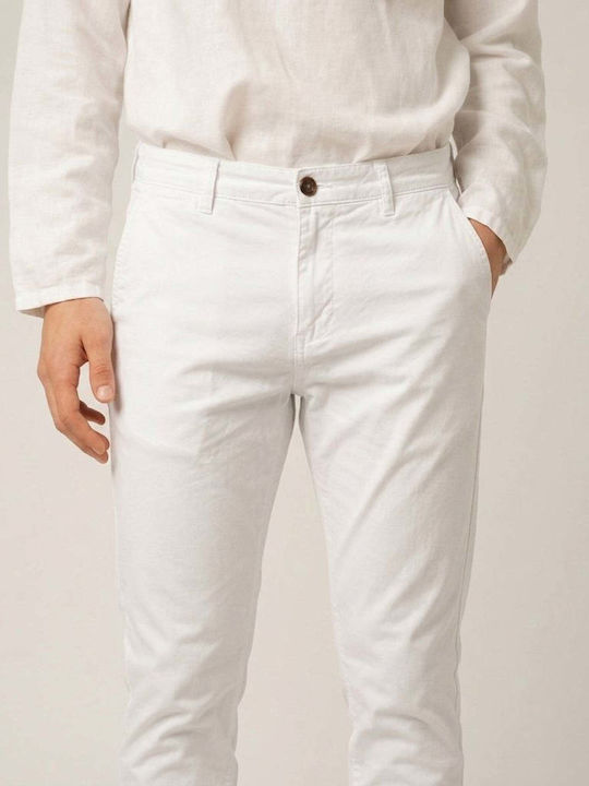 Frank Tailor Frank Tailor