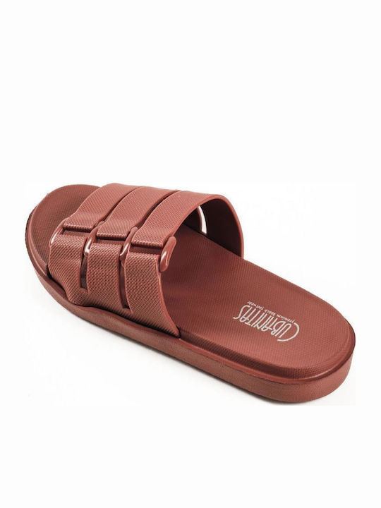 Slides in Purple Colour