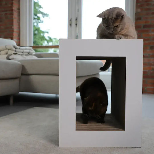 2in1 Cat House Hoopo White
