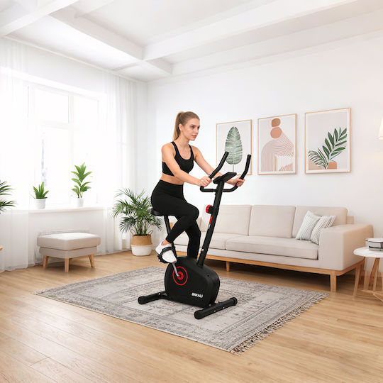 Bakaji Heimtrainer Spin-Bike Magnetisch