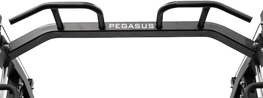 Pegasus Trainer Crossover/Mehrfachturnhalle mit Gewichten 50kg