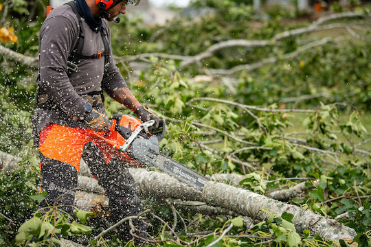 Husqvarna 564XP Gasoline Chainsaw 60cc 5.8kg with 50.8cm Blade