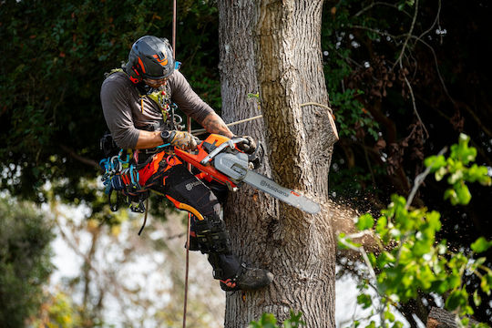 Husqvarna 564XP Gasoline Chainsaw 60cc 5.8kg with 50.8cm Blade