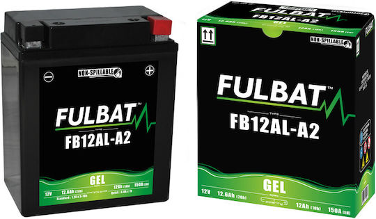 Fulbat UPS Battery with Capacity 12.6Ah and Voltage 12V 550926 1 Piece
