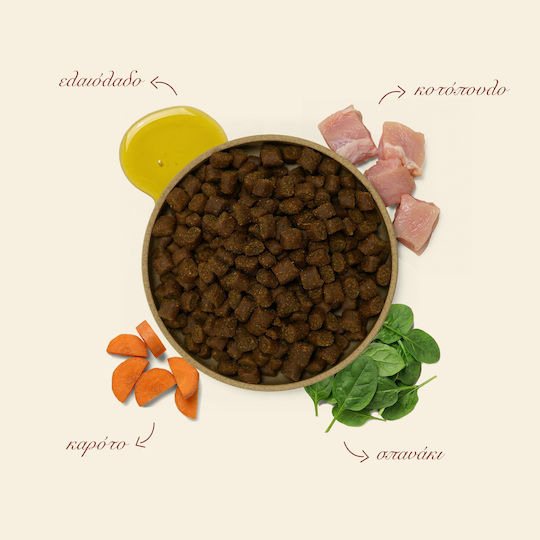 Ethelia Healthy Dogs for Adult & Puppies 12kg Ξηρά Τροφή για Ενήλικους Σκύλους με Κοτόπουλο, Χοιρινό και Ψάρια