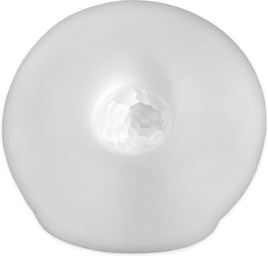 Dream Love Dildo 19cm