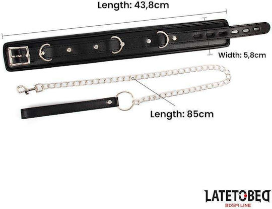 Sponge Collar Leash