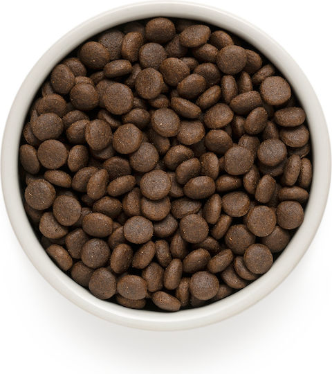 Grandorf 10kg Dry Food for Adult Dogs of Medium & Large Breeds with Rabbit, Hare, Turkey, Meat and Chicken