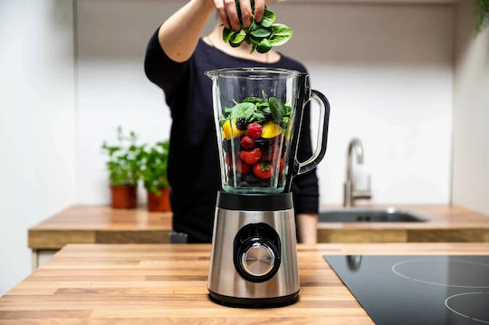 Alpina Blender with Glass Jug 1.5 lt 500W Gray 1378784