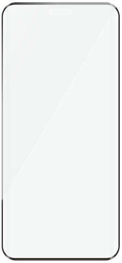 Safe Honor Magic 6 Pro Glass